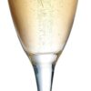 Aspen Brands Premiere Champagne Flutes, 6.5oz Champagne Glasses Set Of 12, Prosecco Glasses, Dishwasher-Safe, Lead-Free Mimosa Glasses, Ideal for Home Bar, Special Occasions, - Image 8